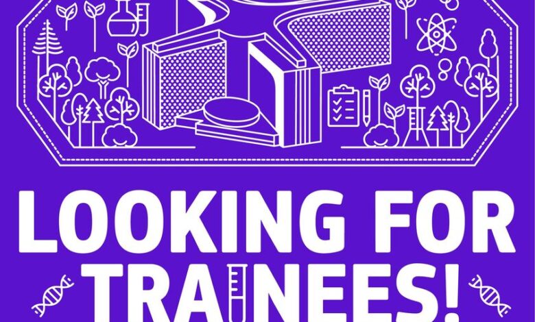 Applications Open For Paid EU Traineeship Program