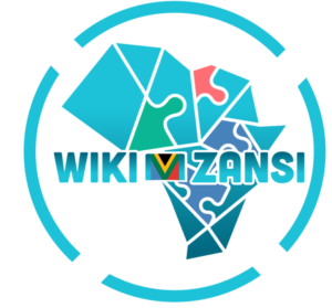 5 Reasons Why Wiki Mzansi Is A Game Changer For African Profiles